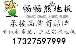 公司介绍